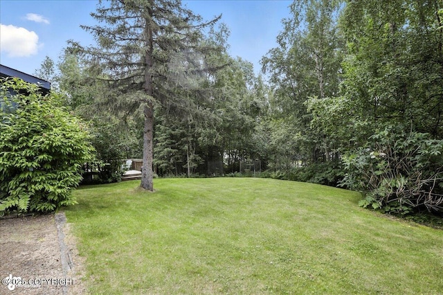 14051 Fejes Rd, Anchorage, AK 99516 - photo 66