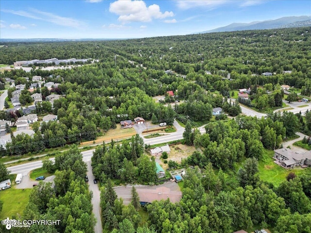 14051 Fejes Rd, Anchorage, AK 99516 - photo 73