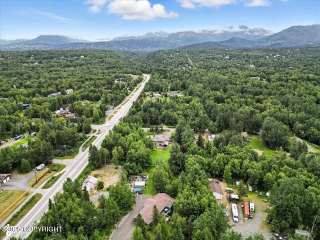 14051 Fejes Rd, Anchorage, AK 99516 - photo 74