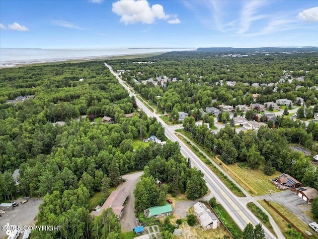 14051 Fejes Rd, Anchorage, AK 99516 - photo 75