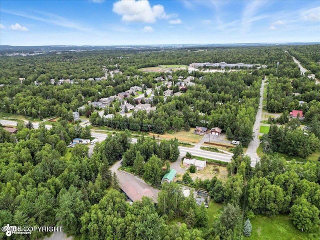 14051 Fejes Rd, Anchorage, AK 99516 - photo 76