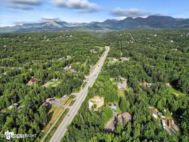 14051 Fejes Rd, Anchorage, AK 99516 - photo 78