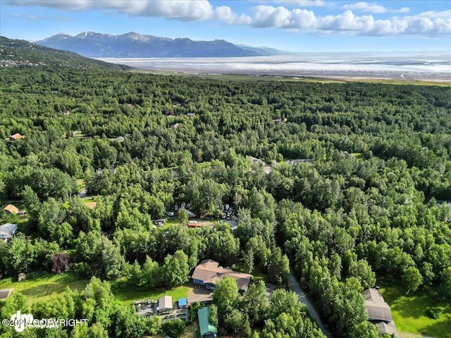 14051 Fejes Rd, Anchorage, AK 99516 - photo 79