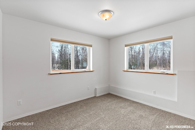 carpeted empty room with baseboards and a wealth of natural light