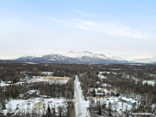 view of mountain feature