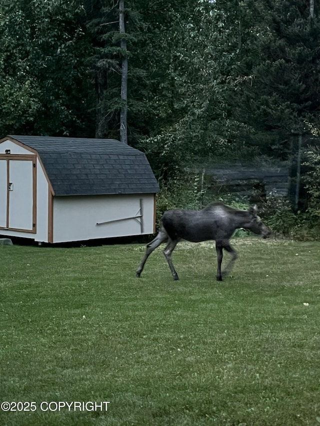 view of shed