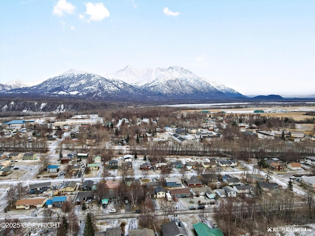 view of mountain feature