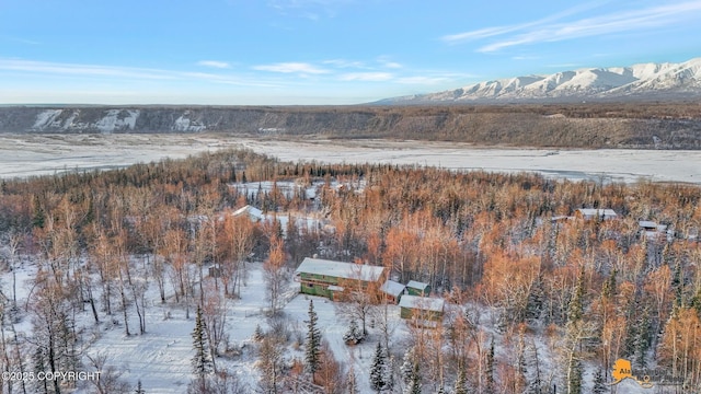 snowy aerial view featuring a mountain view