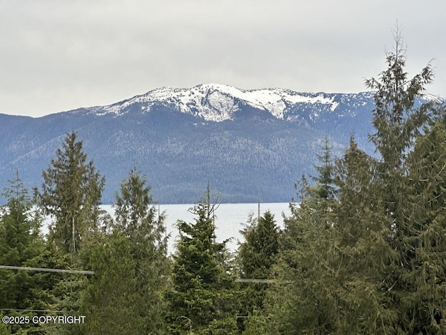 view of mountain feature with a water view