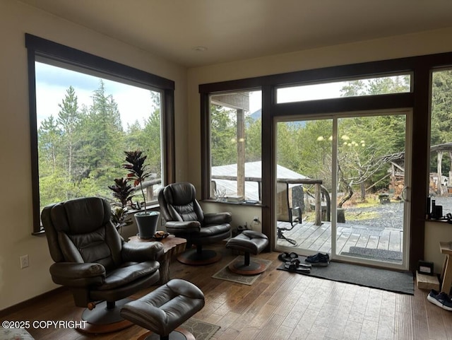 sitting room with hardwood / wood-style floors