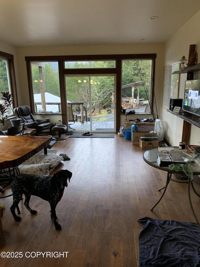 living room with hardwood / wood-style floors