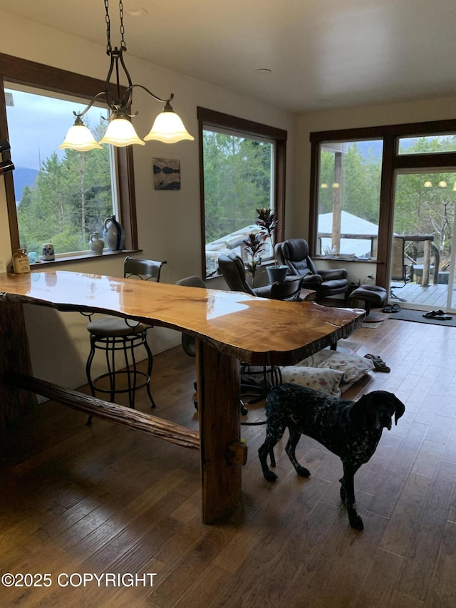 dining space featuring hardwood / wood-style floors