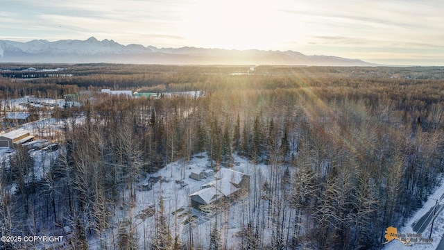 snowy aerial view featuring a mountain view