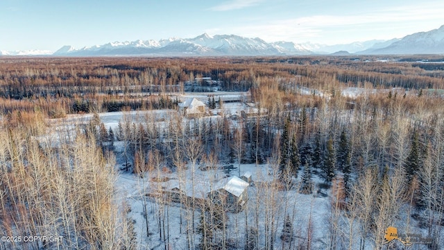 birds eye view of property featuring a mountain view