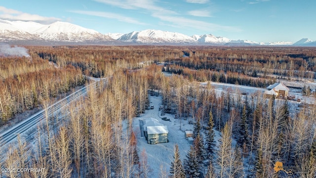 birds eye view of property with a mountain view