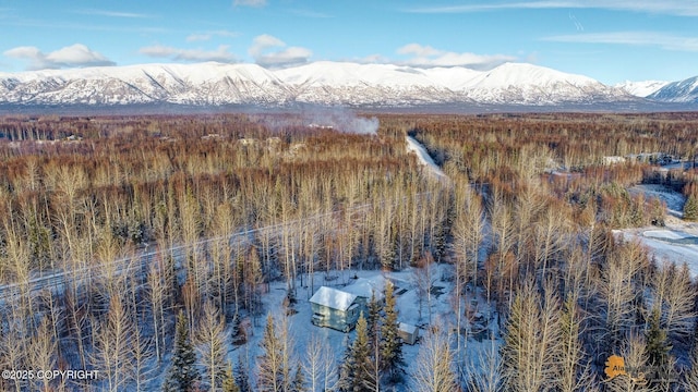 snowy aerial view with a mountain view