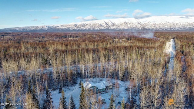 aerial view with a mountain view