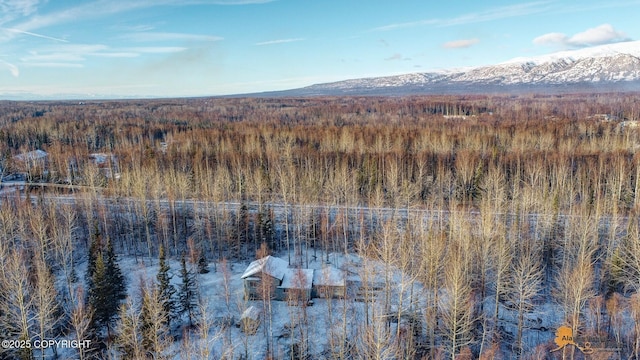 bird's eye view with a mountain view