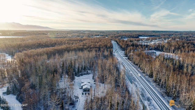 drone / aerial view featuring a mountain view