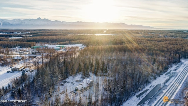 snowy aerial view with a mountain view