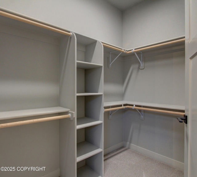 spacious closet with light carpet