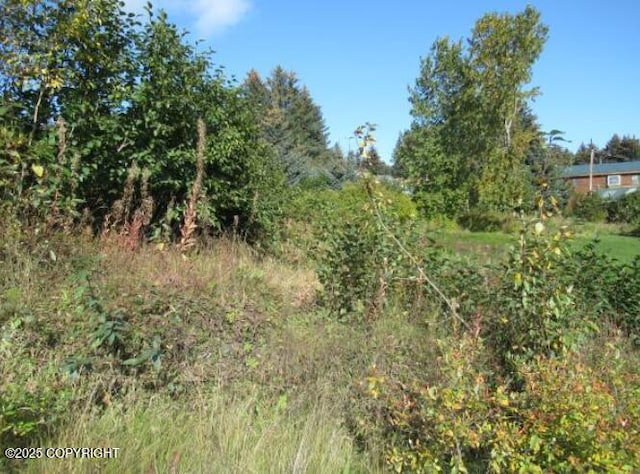 Listing photo 2 for 202 Spruce Dr, Port Lions AK 99550