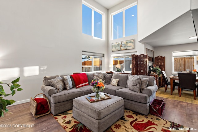 living room featuring a high ceiling and wood-type flooring