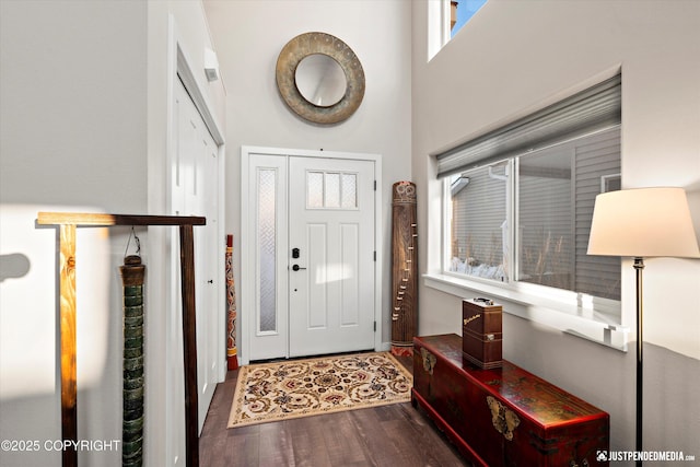 foyer entrance with dark hardwood / wood-style flooring and a high ceiling