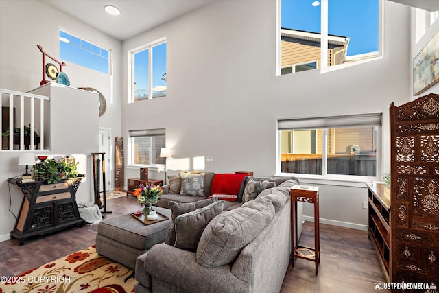 living room featuring a high ceiling and dark hardwood / wood-style floors