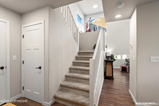 stairway with wood-type flooring