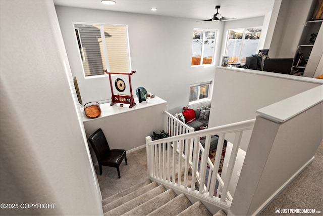 stairway featuring ceiling fan and carpet