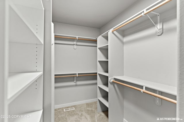 walk in closet featuring light colored carpet