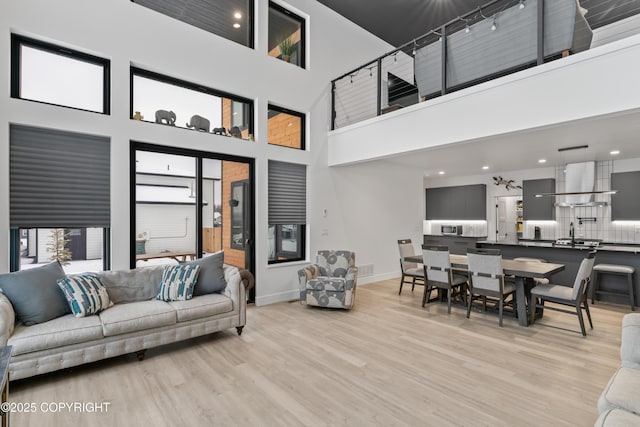 living room featuring light hardwood / wood-style flooring and a high ceiling