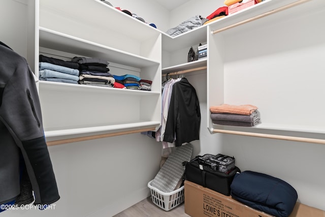 spacious closet featuring light hardwood / wood-style floors