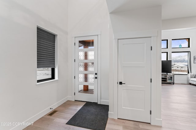 entryway with plenty of natural light and light wood-type flooring