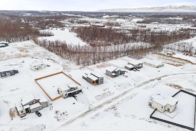 view of snowy aerial view