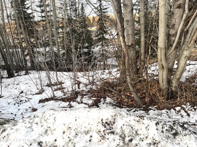 L1 Campus St, Anchorage AK, 99507 land for sale