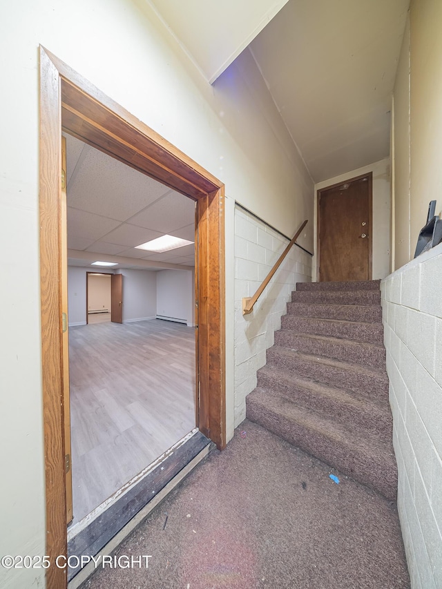 staircase featuring a drop ceiling