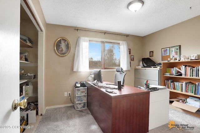 5450 E Alder Dr, Wasilla, AK 99654 - office featuring carpet flooring and a textured ceiling