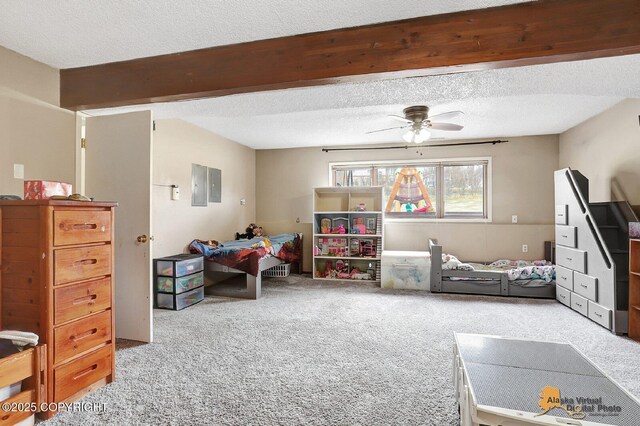 5450 E Alder Dr, Wasilla, AK 99654 - recreation room with a textured ceiling, ceiling fan, and light carpet
