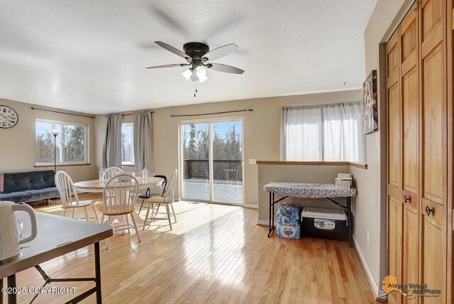 5450 E Alder Dr, Wasilla, AK 99654 - living area featuring baseboards, a ceiling fan, and light wood-type flooring