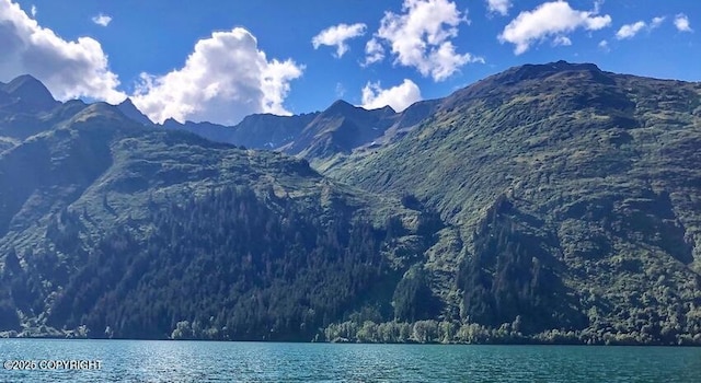 property view of mountains featuring a water view