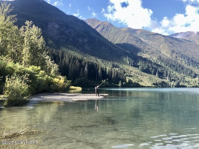 water view with a mountain view