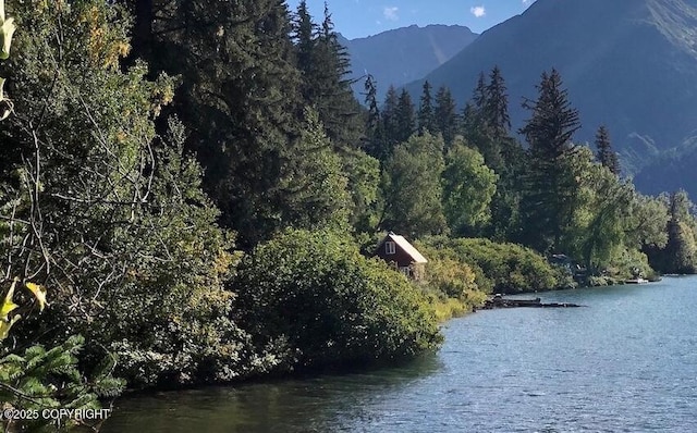 property view of water with a mountain view