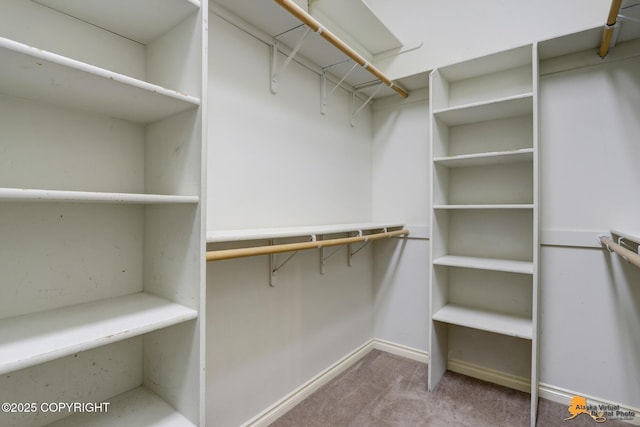 walk in closet featuring light colored carpet