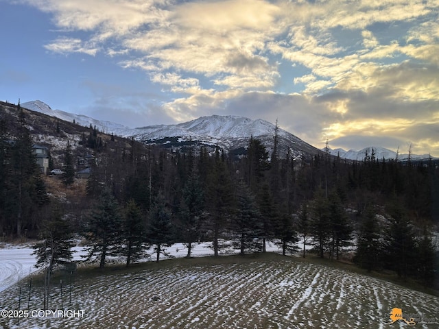 view of mountain feature