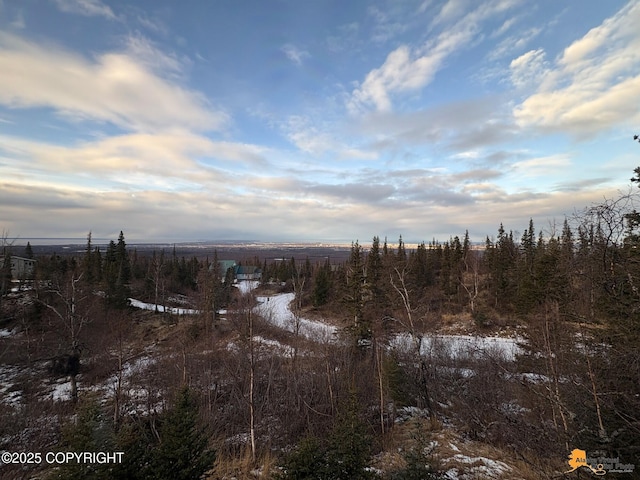 view of landscape