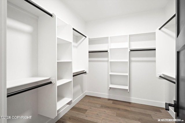 walk in closet with hardwood / wood-style floors