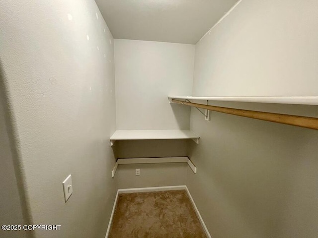 walk in closet with carpet