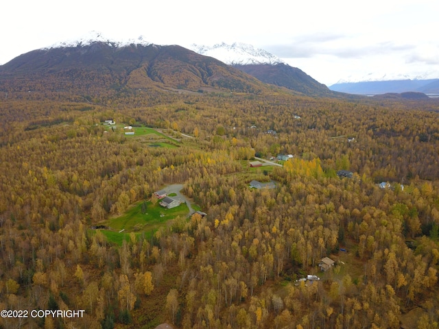 15701 E Clark Rd, Palmer, AK 99645 - photo 13